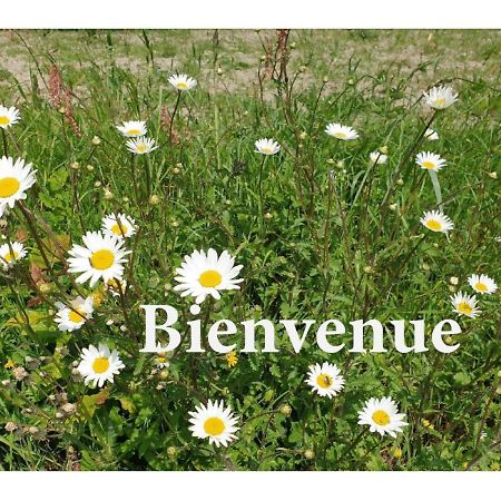 Charming Traditional 2-Bed Cottage Near Plémet Extérieur photo